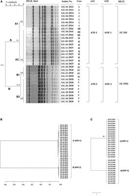 Discovery and characterization of a new genotype of Salmonella enterica serovar Bareilly isolated from diarrhea patients of food-borne outbreaks